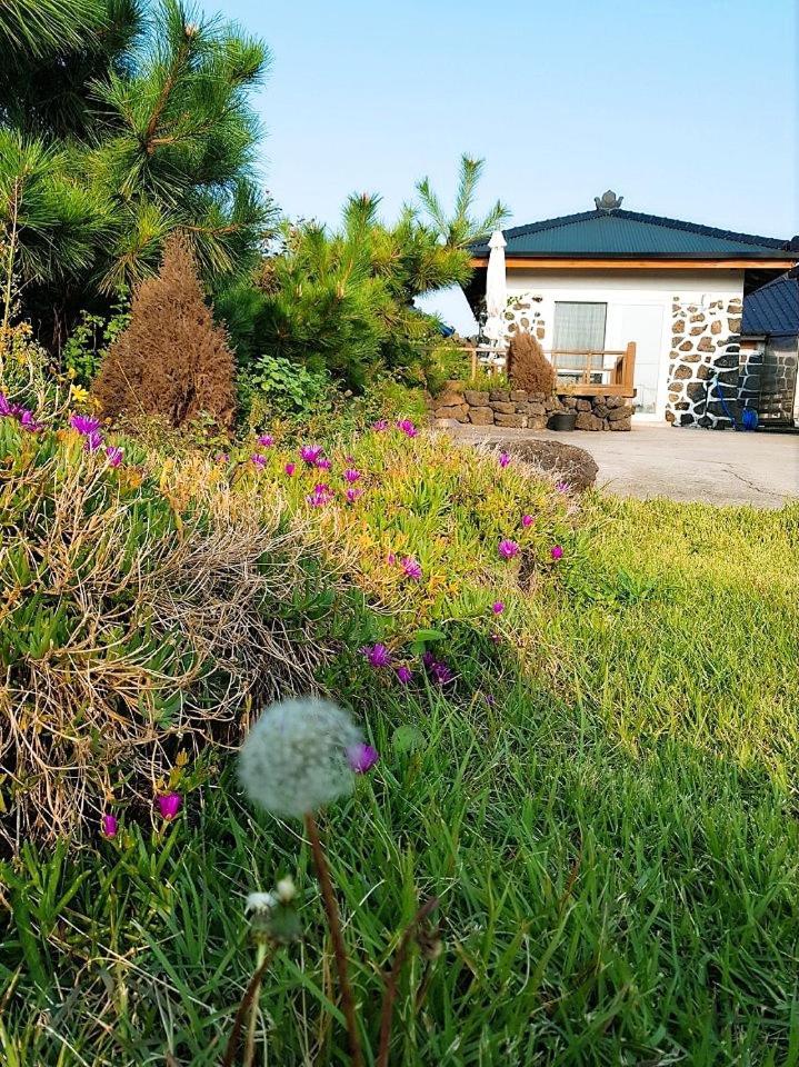 Villa Hadori Mindfulness Jeju Exterior foto