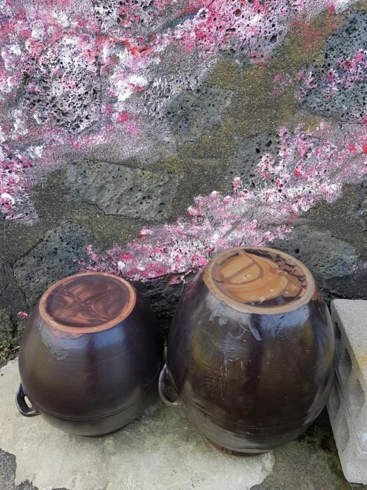 Villa Hadori Mindfulness Jeju Exterior foto
